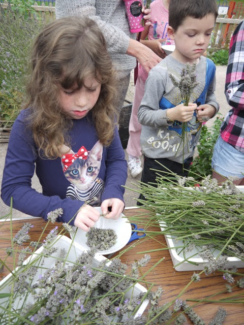 Children and herbal medicine
