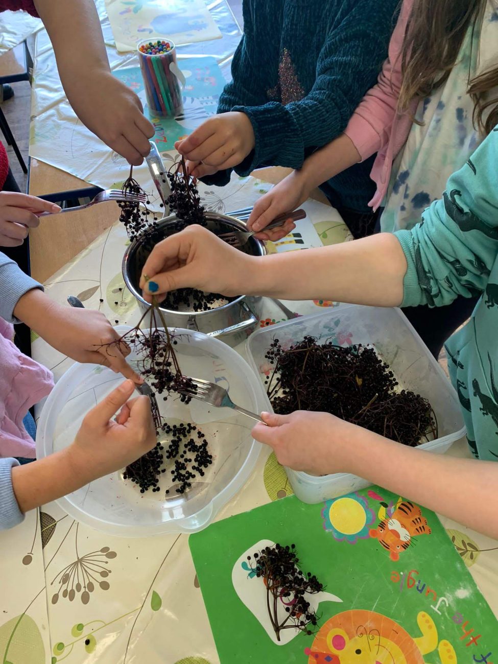Herbal Education For Children Herb Making