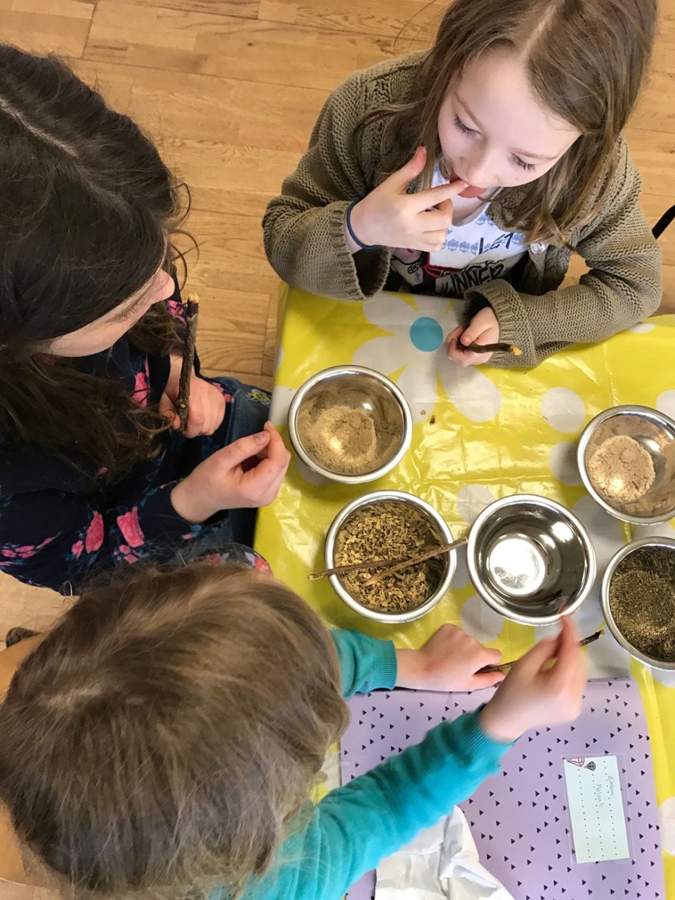 Herbal Education For Children Making Herbal Remedies
