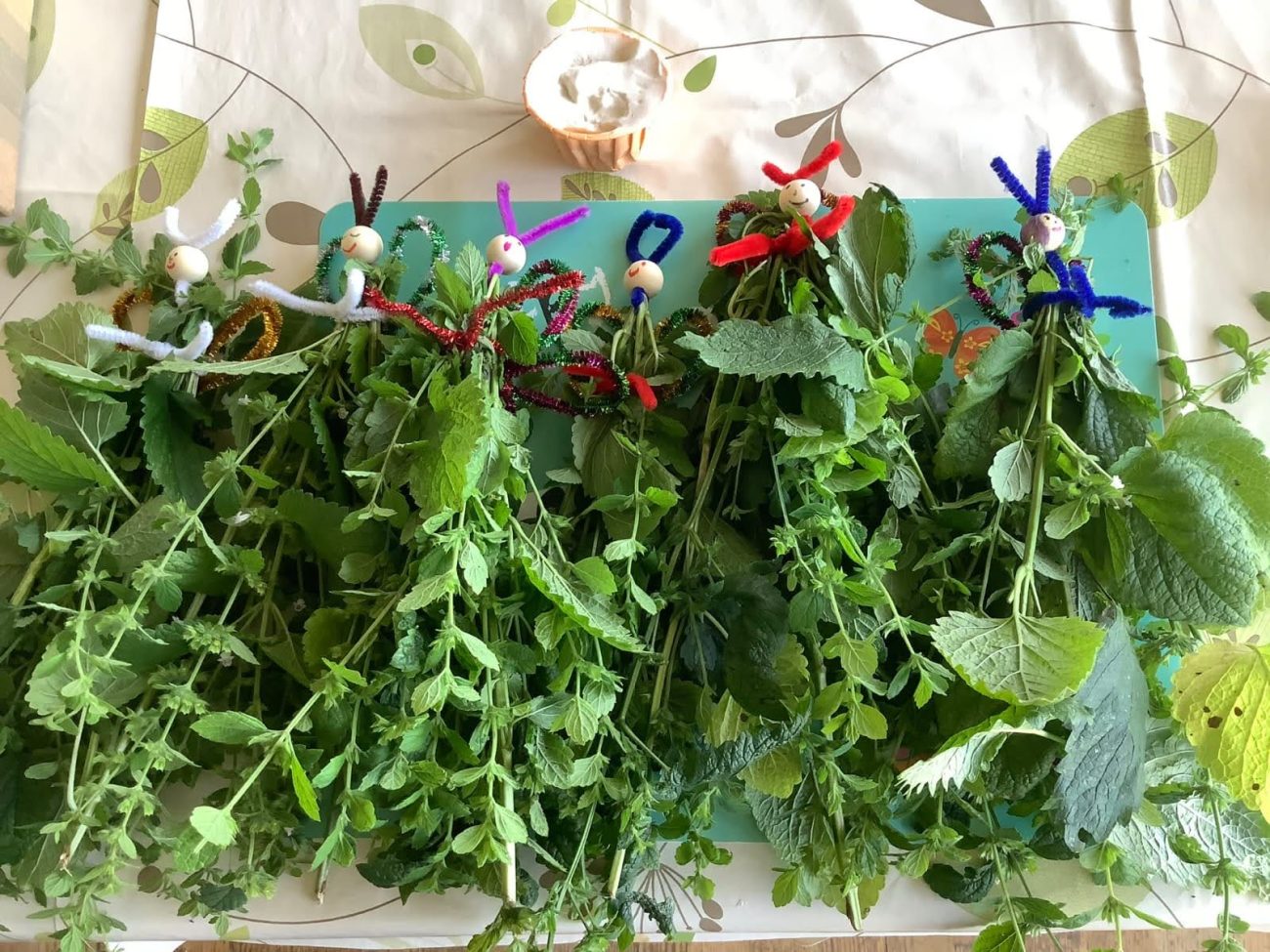 Herbal Education For Children With Herbs