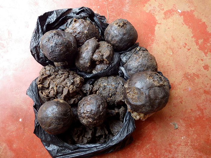 Propolis Produced
