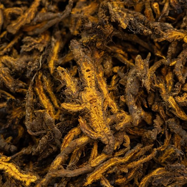 Huang lian (Coptis chinensis)