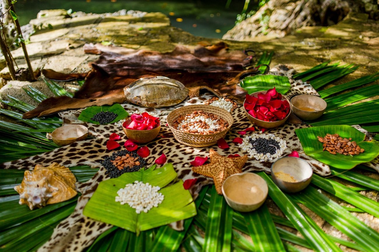 Maya Herbal Medicine A History Of Healing Across Precolonial Colonial And Modern Mesoamerica