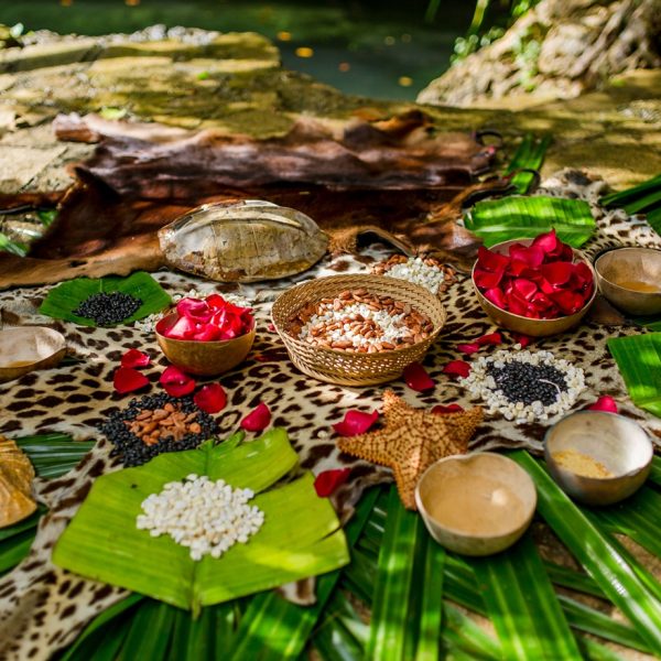Maya Herbal Medicine A History Of Healing Across Precolonial Colonial And Modern Mesoamerica