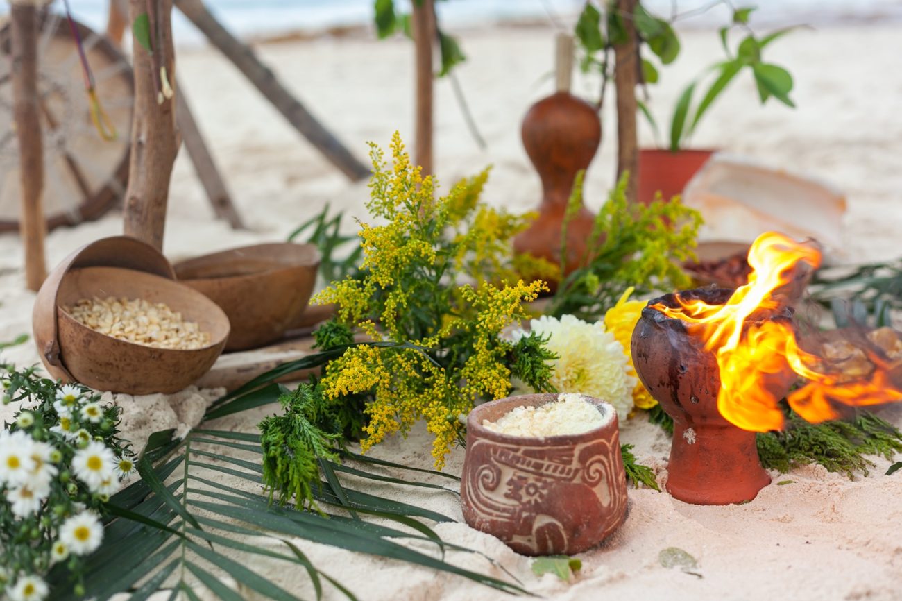 Maya Herbal Medicine