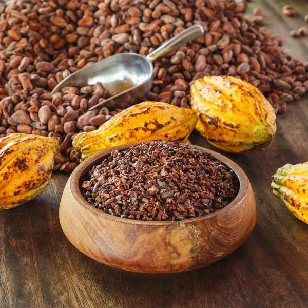 Medicinal Cacao Chocolate As Medicine