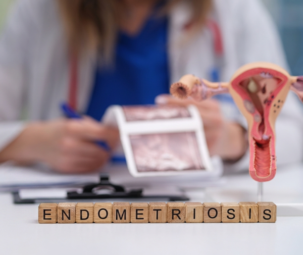 Endometriosis Update Emerging Science And The Role Of Herbal Medicine