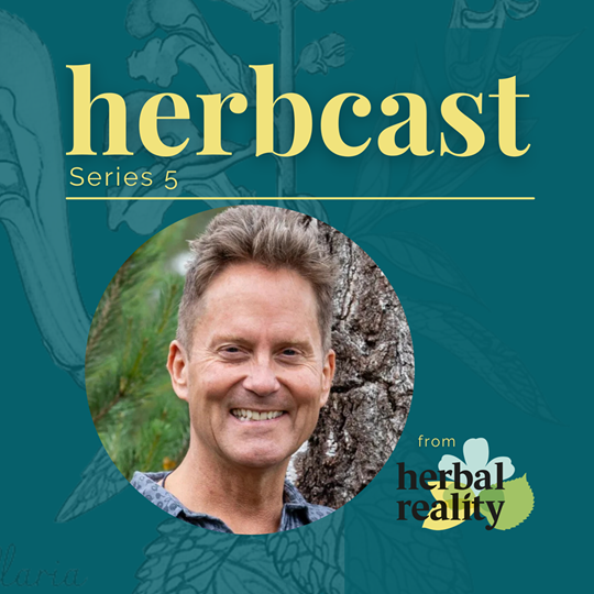 The Pros Vs The Products Do Supplements Work Or Should You Just See A Herbalist